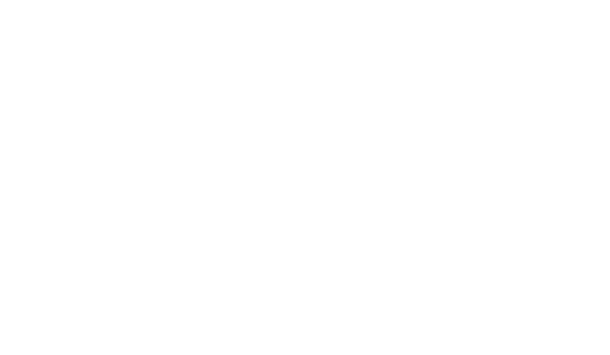 LOGO_NF_BRANCO