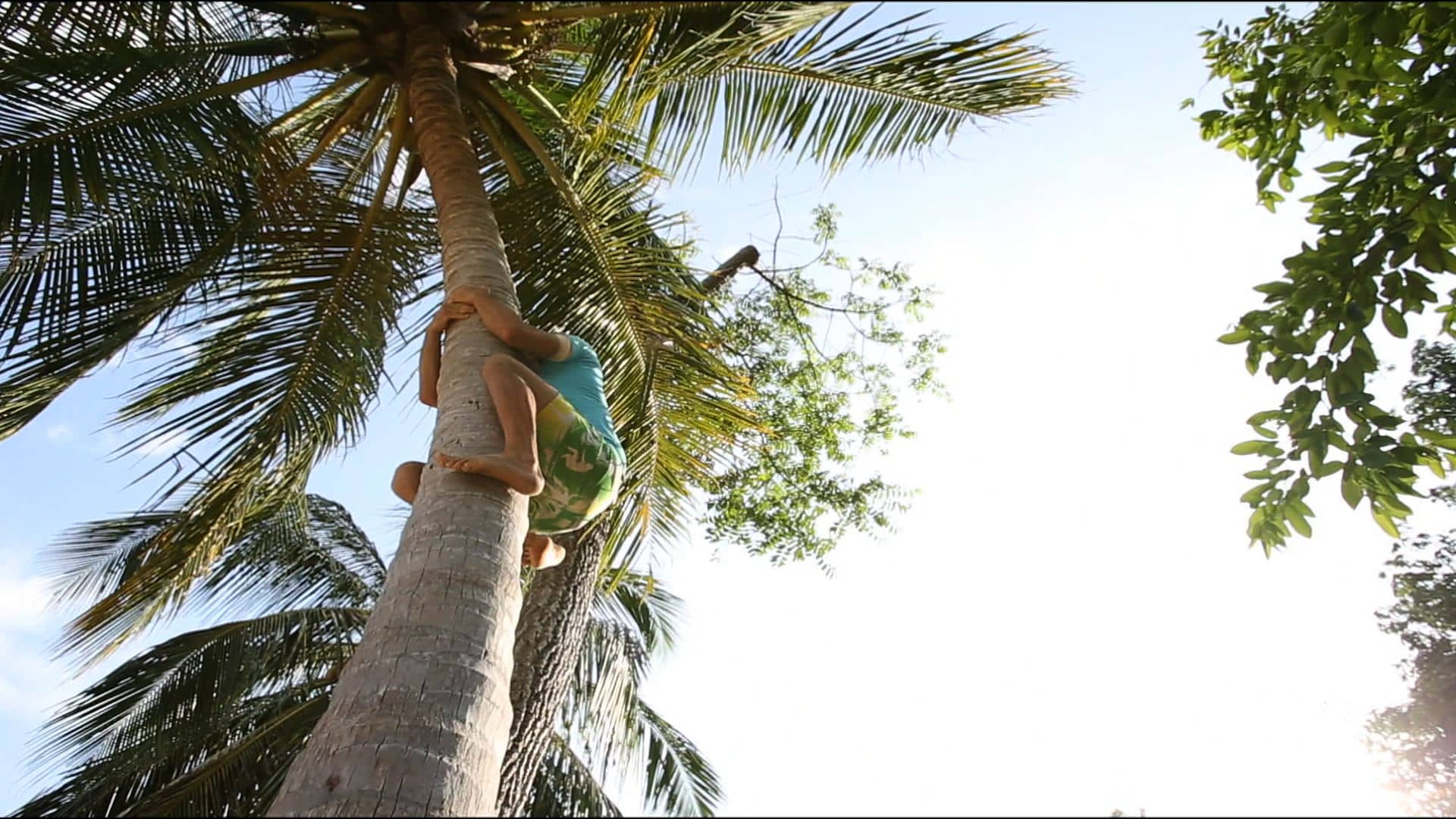 DUAL_BRASIL_S02_EP_2_LEO_CLIMBING_A_COCONUT_TREE_02